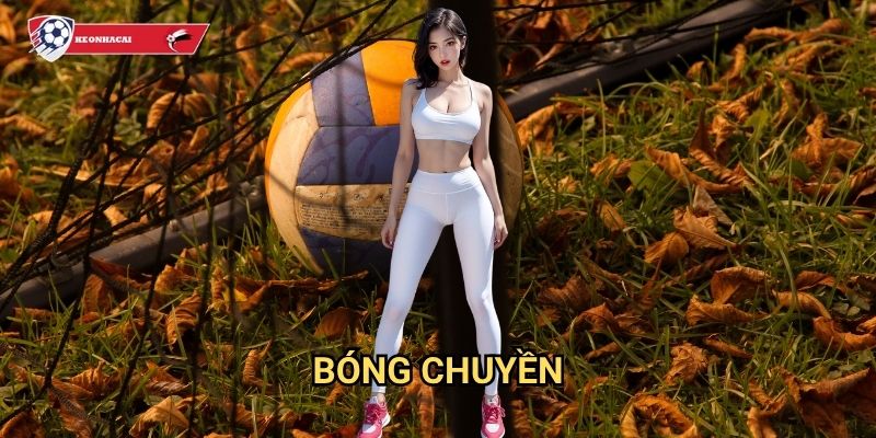 Bóng chuyền Kèo nhà cái art - Sân chơi cá cược volleyball hàng đầu Việt Nam 1 Bóng chuyền Kèo nhà cái art - Sân chơi cá cược volleyball hàng đầu Việt Nam