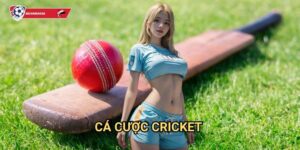 Cá cược Cricket Kèo nhà cái art - Thế giới cá cược cricket đầy kịch tính