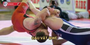 Đấu vật WWE Kèo nhà cái art - Sàn đấu cá cược wrestling giải trí