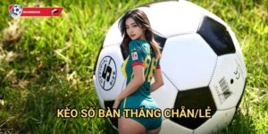 Kèo số bàn thắng chẵn/lẻ Kèo nhà cái art - Phương pháp dự đoán thông minh
