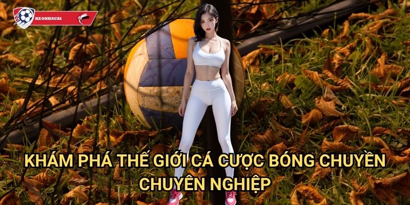 Bóng chuyền Kèo nhà cái art - Sân chơi cá cược volleyball hàng đầu Việt Nam 2 Khám phá thế giới cá cược bóng chuyền chuyên nghiệp