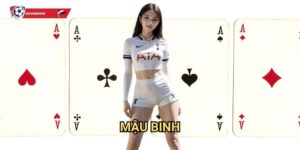 Mậu binh Kèo nhà cái art - Trò chơi bài 13 lá kinh điển đầy thử thách