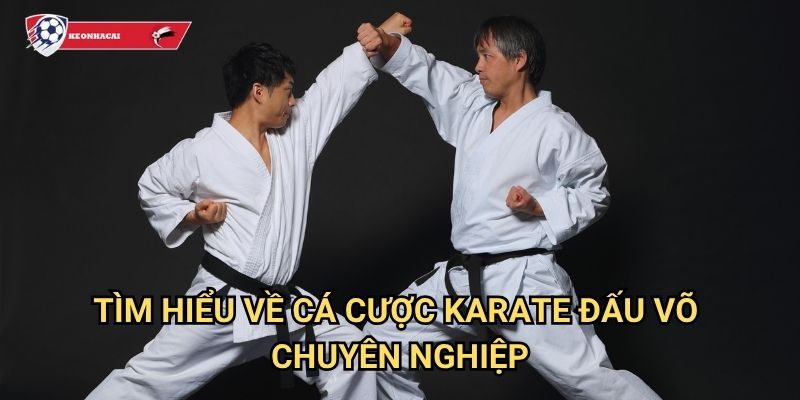 Karate đấu võ Kèo nhà cái art - Cổng game cá cược võ thuật số một Việt Nam 2 Tìm hiểu về cá cược karate đấu võ chuyên nghiệp